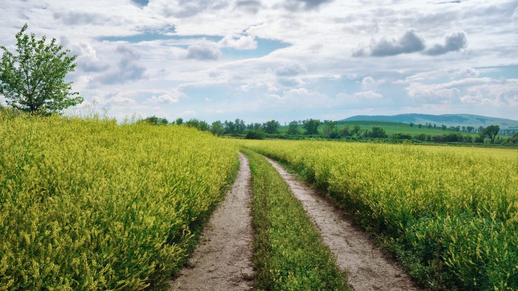 croppedyellowroad1426706766OER.jpg Reformed Baptist Church of Auburn